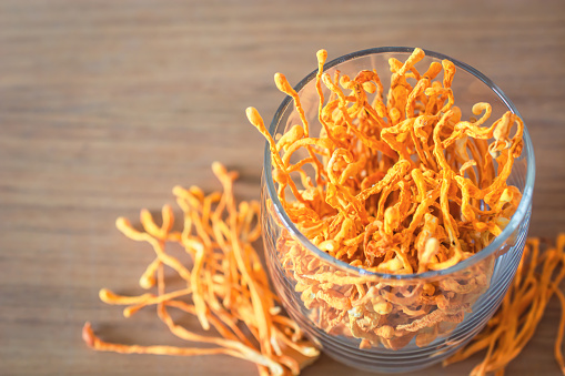 Cordyceps Mushroom Company in Mizoram | Cordyceps Mushroom center | Biobritte mushroom Company