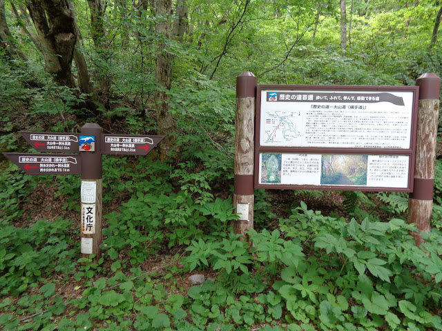 横手道は山側にさらに1.5Kmありますが今回は行きませんでした