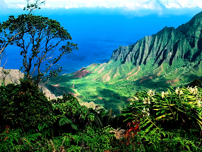 hawaii picture wallpaper. Source url:http://www.newvistawallpaper.com/scenery-wallpapers/hawaii.html 