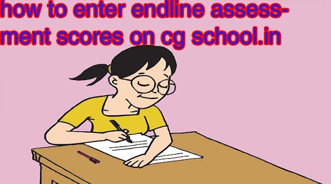 how to enter endline assessment scores on cg school.in
