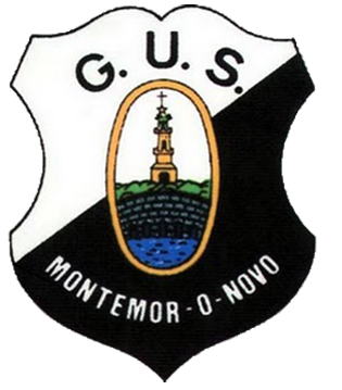classificação campeonato regional distrital associação futebol évora 1987 união montemor