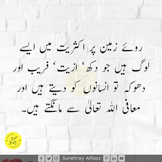 Deep and Wise Quotes in Urdu