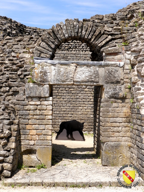 GRAND (88) - Amphithéâtre gallo-romain