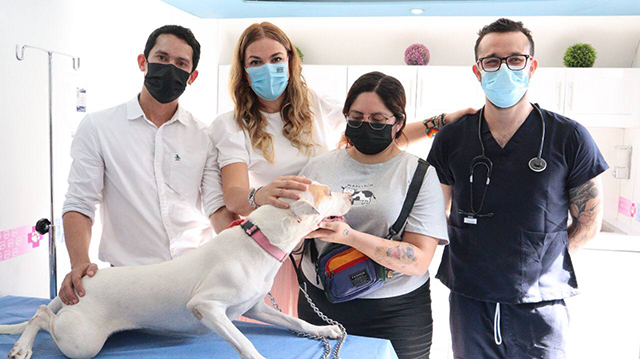 Arranca módulo móvil de esterilización de mascotas en Mérida