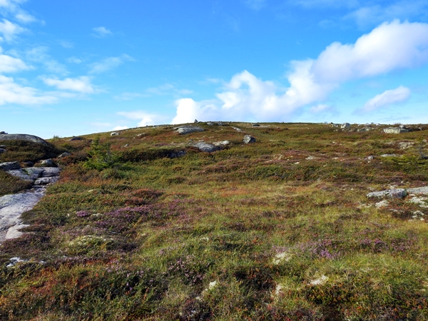 teinvassåsen høgdefjell hyttetur