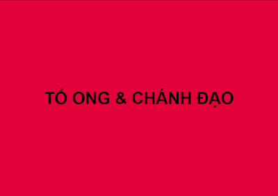 TỔ ONG & CHÁNH ĐẠO.