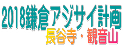  2018鎌倉アジサイ計画：長谷寺