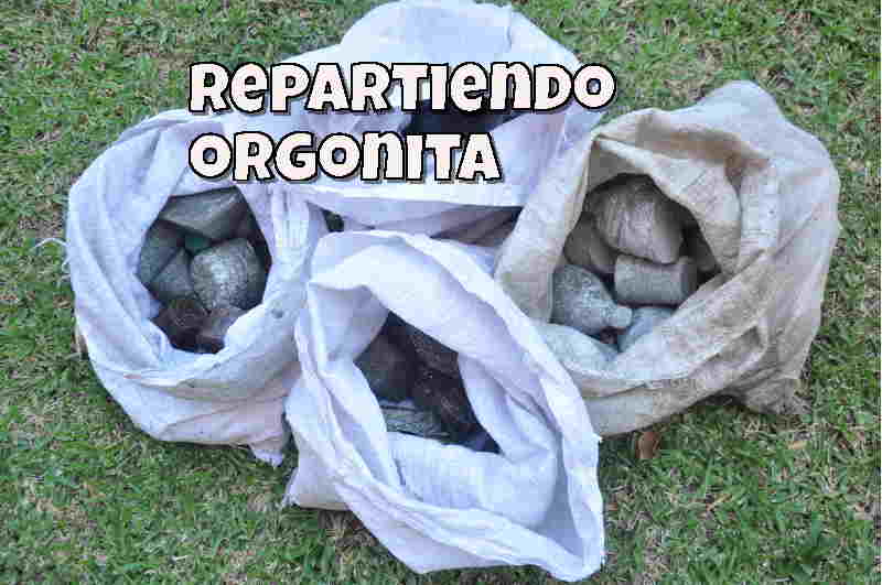 orgonita repartir