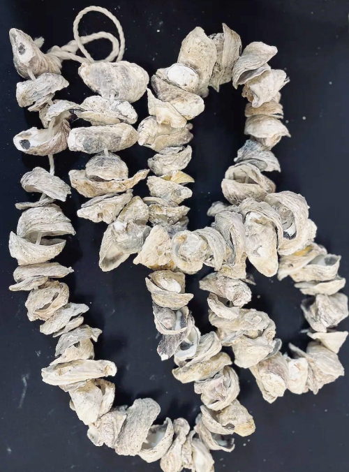 Oyster Garland