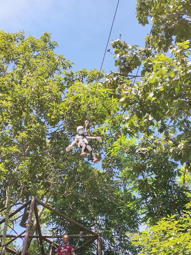 phoenix zipline adventure, phoenix zipline, phoenix zipline chiang mai, phoenix adventure park, phoenix adventure park chiang mai, phoenix adventure chiang mai
