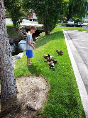 BabcoUnlimited.blogspot.com - Family, Feeding the Ducks