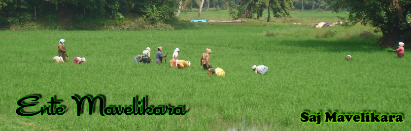 Ente Mavelikara