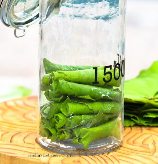 Labneh Stuffed Grape Leaves Preserved in Oil