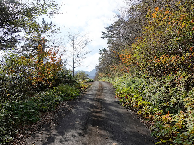 大山の香取の山道