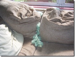 couch stuffing