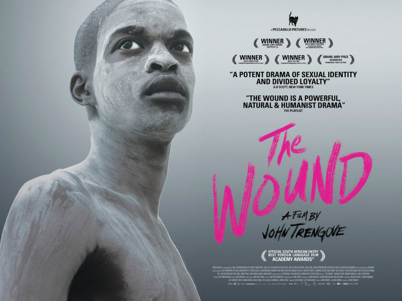 the wound film poster