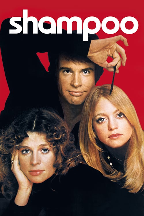 [HD] Shampoo 1975 Film Entier Vostfr