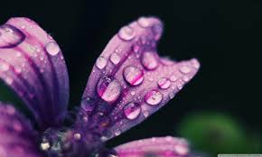 3D Rain Drops HD Wallpaper Free Download