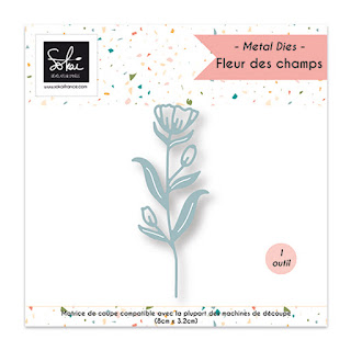 http://www.aubergedesloisirs.com/dies/2911-fleur-des-champs.html