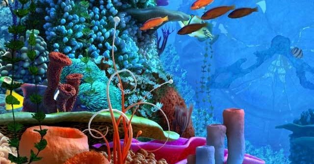 keindahan alam bawah laut CATATAN PAKJAL keindahan alam bawah laut CATATAN PAKJAL