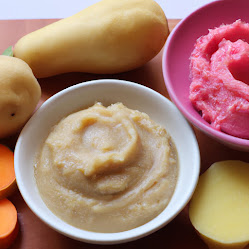 how to puree food for adults
