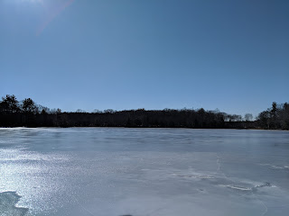 DelCarte frozen surface and scheduled for additional invasive species work