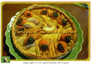 Vie quotidienne de FLaure: Tarte pêche, nectarine et abricot