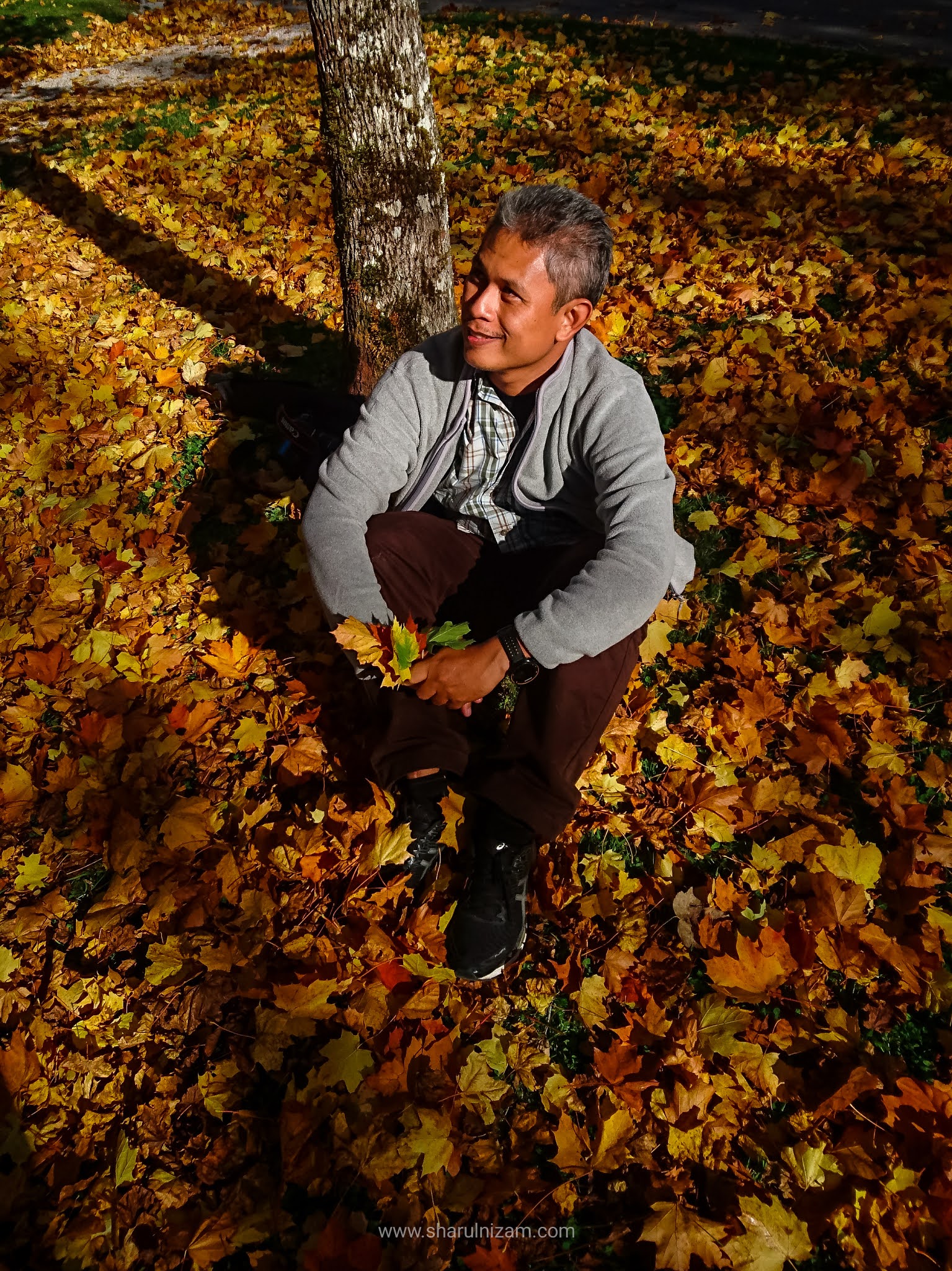 Mengutip Daun Maple Di Eibsee Bersaksikan Gunung Zugspitze