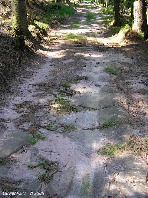 RAON-LES-LEAU (54) - Voie romaine de la forêt de Roule-Bacon