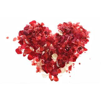 Flower Valentine  on Over 40  Sandy Robertson  Valentine S Day  Flowers And Fertility