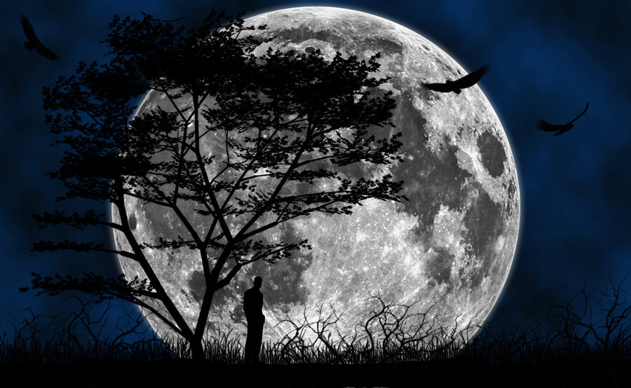 Moon Wallpapers HD - Wallpapers