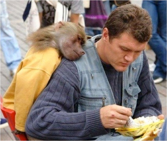 animals-and-humans_10