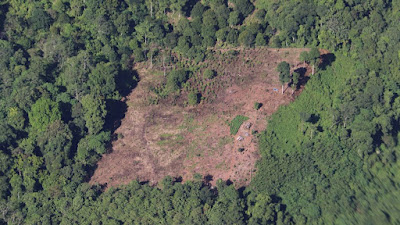 Polisi Selidiki Dugaan Adanya Perambahan Hutan pada Proyek Jalan Jantho – Lamno Pakai Helikopter