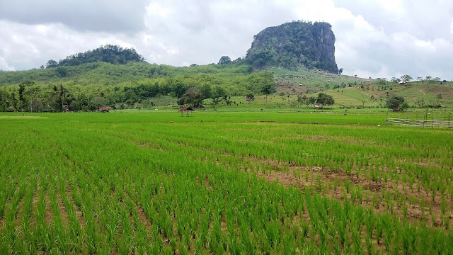 Image result for gunung gajah pemalang