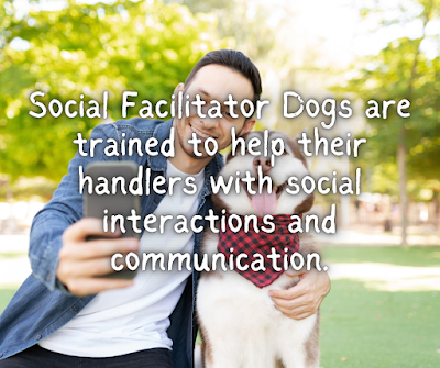 Social Facilitator Dogs are trained to help their handlers with social interactions and communication.