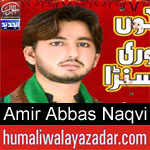 https://humaliwalaazadar.blogspot.com/2019/09/syed-amir-abbas-naqvi-nohay-2020.html