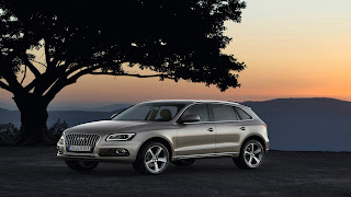 Dream Fantasy Cars-Audi Q5 2013