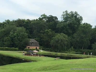 scenic expanse at Middleton Place plantation in Charleston, South Carolina