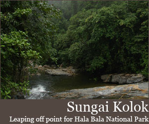 Hala Bala National Park Sungai Kolok