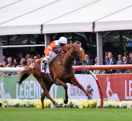 race 3_shoko 5 race 3_shoko 5