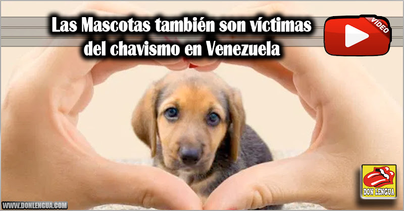 Las Mascotas también son víctimas del chavismo en Venezuela