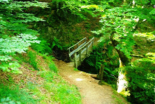 Caso, ruta a la cascada del Mongayu, bosque del monte Saperu, puente