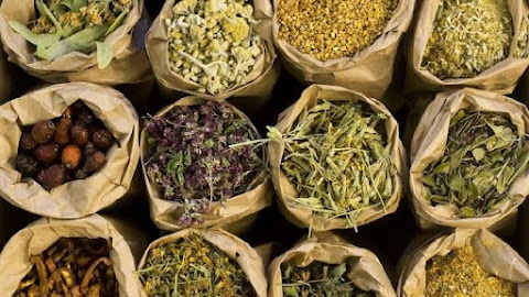 What is Herbal Medicine? Here it is a complete explanation and its function