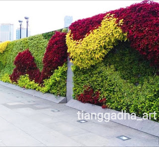 tukang taman vertikal garden dan jasa vertical garden tianggadha art