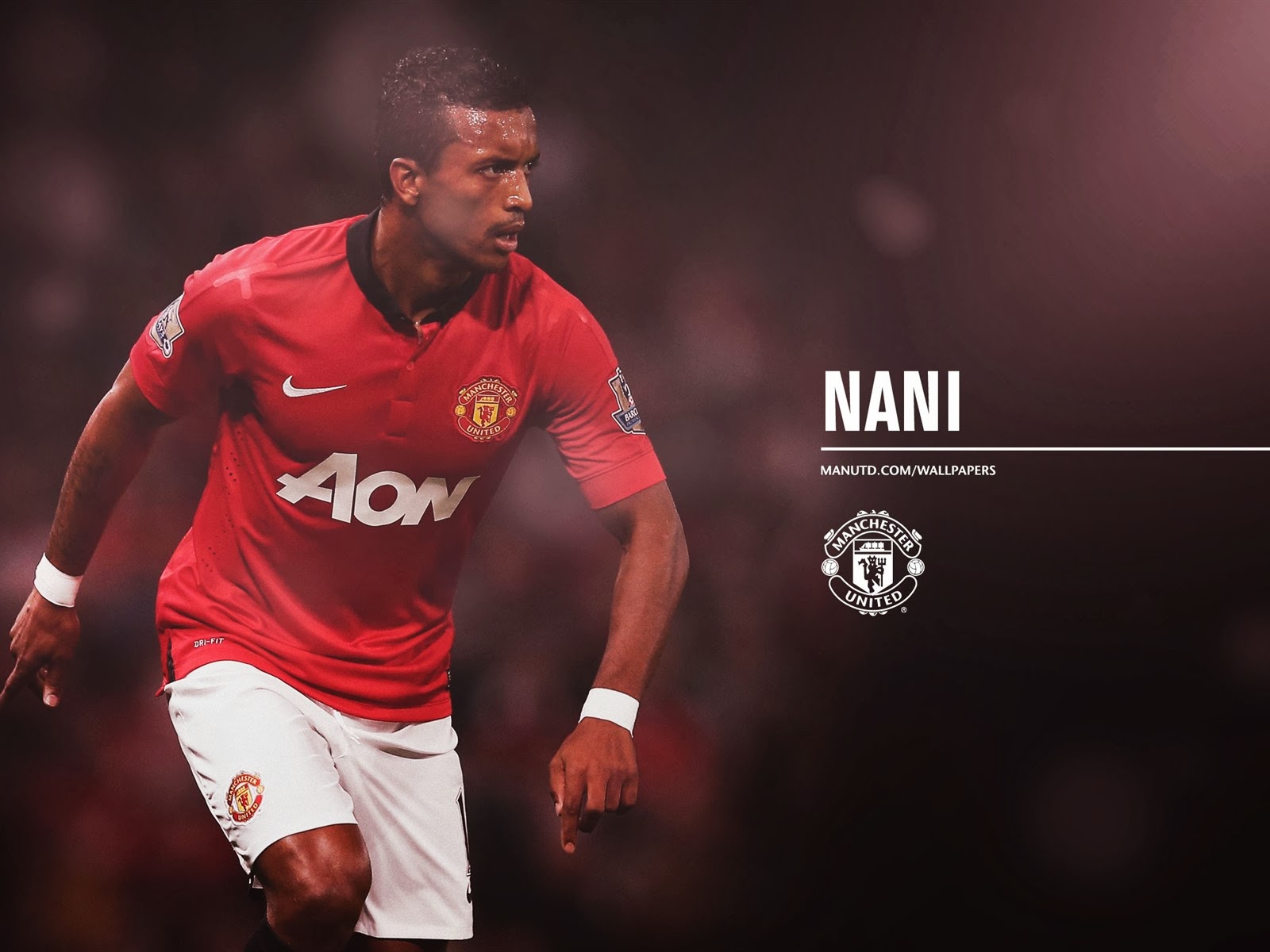 Daftar Pemain Skuad Manchester United 2013 2014 Part2Manchester