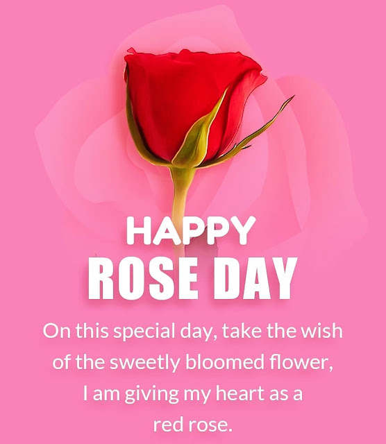 Rose Day Images HD