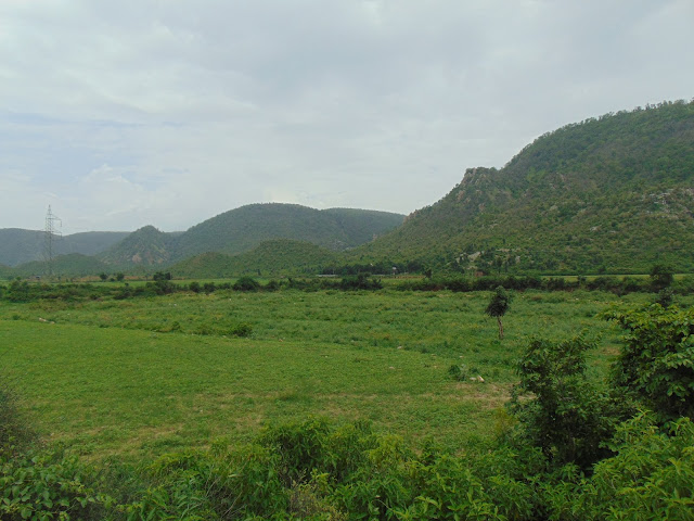 sariska to alwar