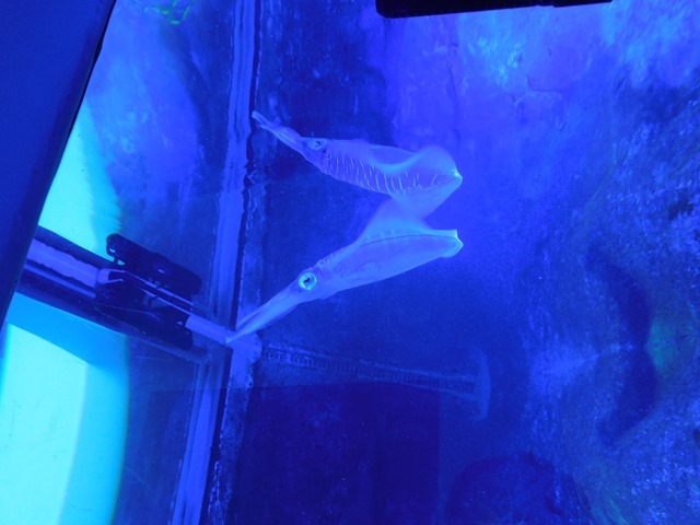 DSCN0055