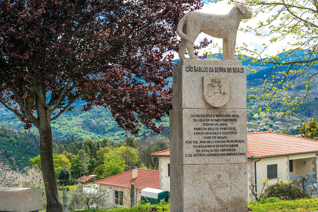 Imagen de una estatua de un perro de la raza Sabujo