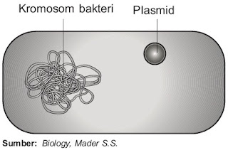 melibatkan banyak sekali biro biologi yang berupa mikrobia Pintar Pelajaran Contoh Bioteknologi